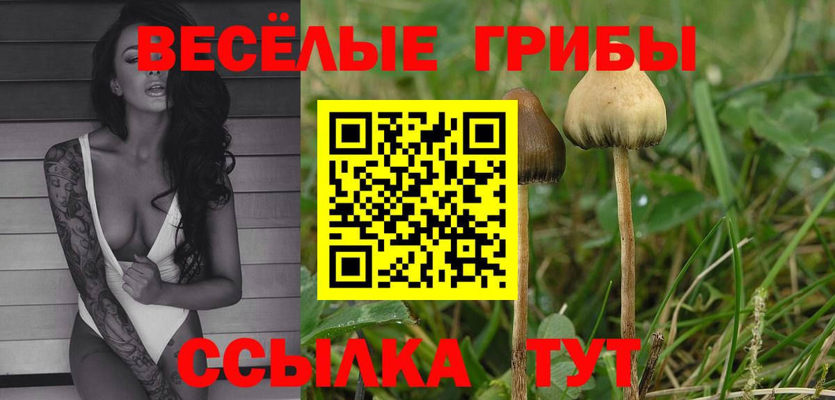 Галлюциногенные грибы GOLDEN TEACHER Приморско-Ахтарск