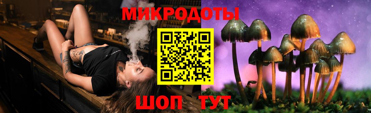 Приморско-Ахтарск  Псилоцибиновые грибы Psilocybe  что такое наркотик  Вход с VPN 